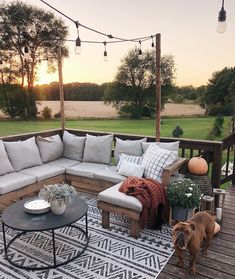 a dog is standing on the deck near a couch and coffee table with several pillows