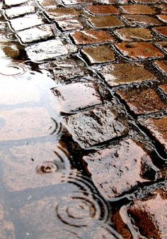 a brick road with puddles of water on it