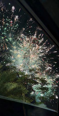 fireworks are lit up in the night sky over trees and plants as seen from inside a vehicle