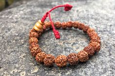 Rudraksha wrist mala with adjustable knot. Comes with 25 beads and Guru bead. Pull the knot at the end of guru bead for adjusting size. Bead size: 8mm Red Bracelets With 8mm Beads For Meditation, Red Beaded Bracelets For Meditation 8mm, Red Meditation Bracelets With 8mm Beads, Traditional Red Bracelets For Meditation, Adjustable Red Beaded Bracelets For Meditation, Adjustable Rosary Bracelet For Healing With 108 Beads, Hand Knotted Round Beads Bracelets As Gift, Spiritual Hand Knotted Bracelets With Round Beads, Hand Knotted Round Beads Bracelets For Gifts