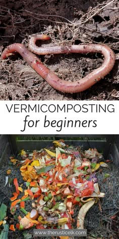 an image of some vegetables and worms on the ground with text overlay that reads, vermicomposting for beginners