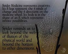 Native wisdom regarding spiders Photos With Quotes, Pet Spider