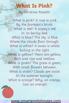 what is pink? poem by christiana rosetti with an apple in the background