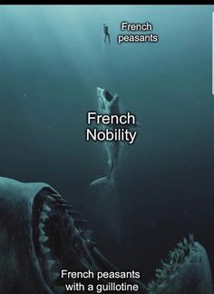 an advertisement for french nobility with a giant fish in the water