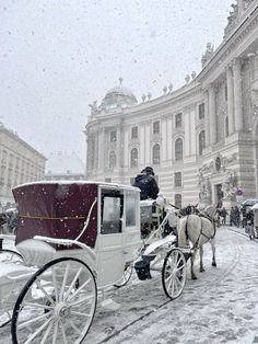 Vienna During Winter, Vienna In December, Cute Snow Wallpaper, Vienna At Christmas, Vienna Winter Aesthetic, Vienna Christmas Aesthetic, Vienna Snow, Vienna Austria Winter, Winter In Vienna