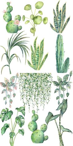 watercolor painting of different types of plants