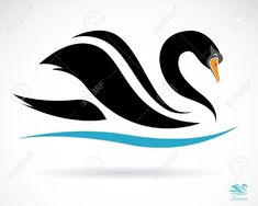 black swan swimming on the water with blue waves in it's beak and head