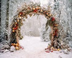 an arch made out of branches and fruit is in the middle of a snowy forest