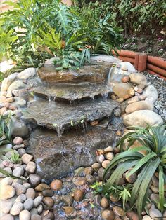 a small waterfall in the middle of a garden