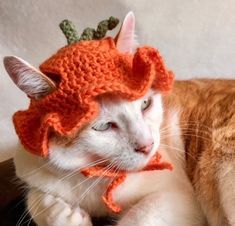 the cat is wearing a knitted hat with horns