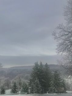 there is a snow covered field with trees in the background