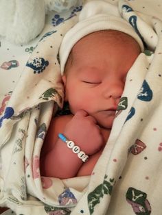 a newborn baby wrapped in a blanket next to a stuffed animal