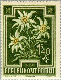 a stamp with some flowers on it