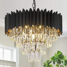 a chandelier hanging from the ceiling in a living room with potted plant