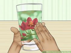 two hands holding up a glass filled with water and red flowers on the inside of it