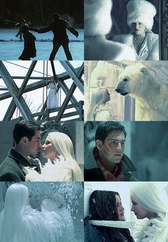 the collage shows people dressed in winter clothing and white furs, with polar bears