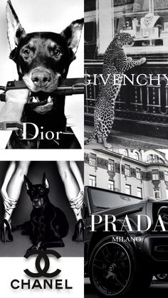 a black and white photo with the words dior, prada, chanel