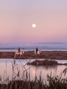 two people riding horses near a body of water with the moon in the sky behind them