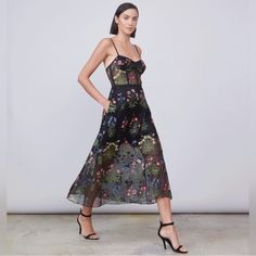 Gorgeous, New With Tags, Mesh And Floral Dress. Stunning On, Sheer Panels On The Bodice And Lower Half Of Skirt. Womens Abs, Floral Dress, Bodice, Size 2, Midi Dress, Mesh, Womens Dresses, Skirt, Tags