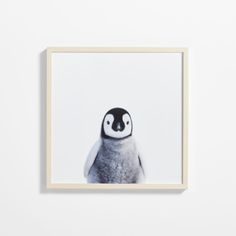 a penguin is shown in front of a white wall with a black and white background