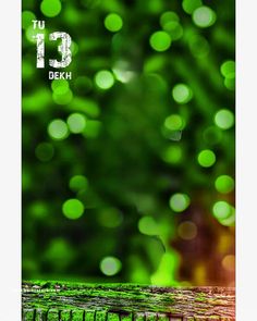 an image of a blurry green background with the number 13 on it