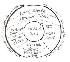 a diagram showing the different parts of a black and white color wheel, labeled in several words