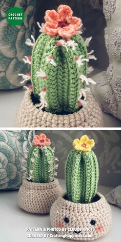 two crocheted cactus pots with flowers on them