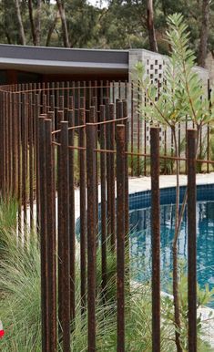 an outdoor swimming pool surrounded by tall grass and metal fenced in area next to it