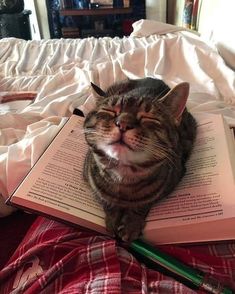 a cat laying on top of an open book with its eyes closed and tongue out