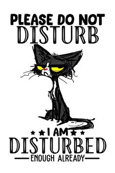 a black cat with yellow eyes and the words please do not disturb i am disturbed enough already