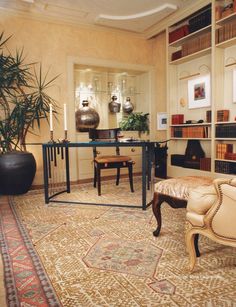 a living room filled with furniture next to a tall potted plant and bookshelf