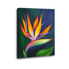 a painting of a bird of paradise flower on a dark green background with large leaves