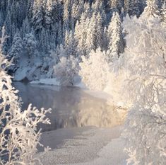 snow covered trees surrounding a lake in the middle of a forest with lots of snow on it