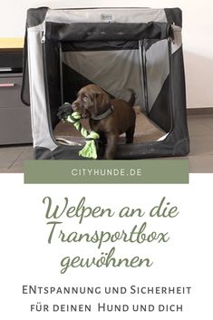 a brown dog sitting inside of a black and white crate with a green toy in it's mouth