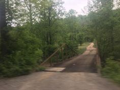 a dirt road surrounded by trees with a wooden gate in the middle on one side