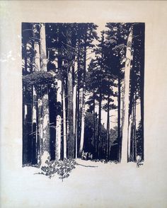 a black and white image of trees in the woods with snow on them, taken from an old book