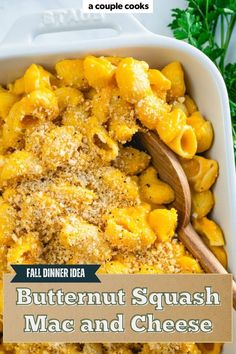 a casserole dish with butternut squash macaroni and cheese in it