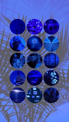 a bunch of different blue objects are arranged in the shape of a palm tree,