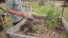 a man is tending to his garden with an owl statue in the middle of it