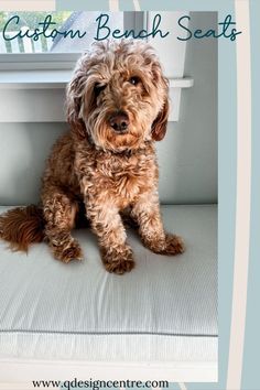 a brown dog sitting on top of a white couch next to a window sill