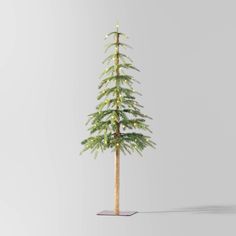 a small pine tree is shown on a gray background with the light coming from behind it