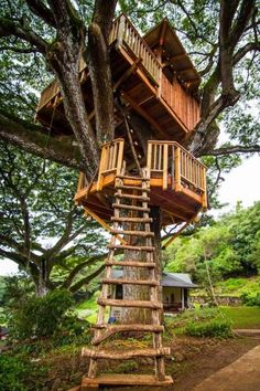 a tree house built into the side of a large tree