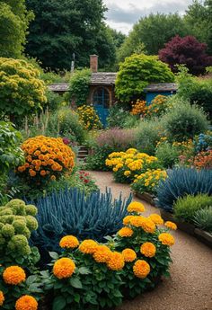 a garden filled with lots of different types of flowers