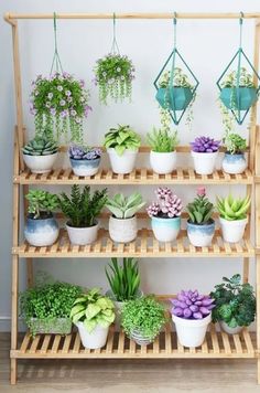 Cool potted plant ideas Ladder Garden, Tall Plant Stand Indoor, Shelf Ladder, Pot Display, Bamboo Ladders, Tattoo Plant, Pot Organization, Stand Flower, Tall Plant Stands