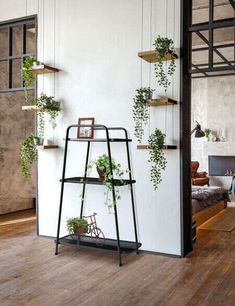 a shelf with plants on it in front of a white wall and wood flooring