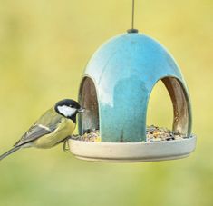 a bird that is sitting on a bird feeder and eating from it's side