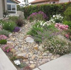 a garden with rocks and flowers in front of a house