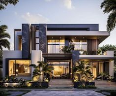 a modern house with palm trees in the front yard and stairs leading up to it