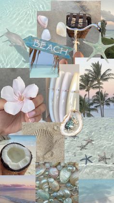 a collage of pictures with shells, flowers and other things in them that are beach related