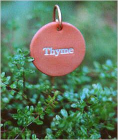 a red tag with the word thyme on it is hanging from a green plant